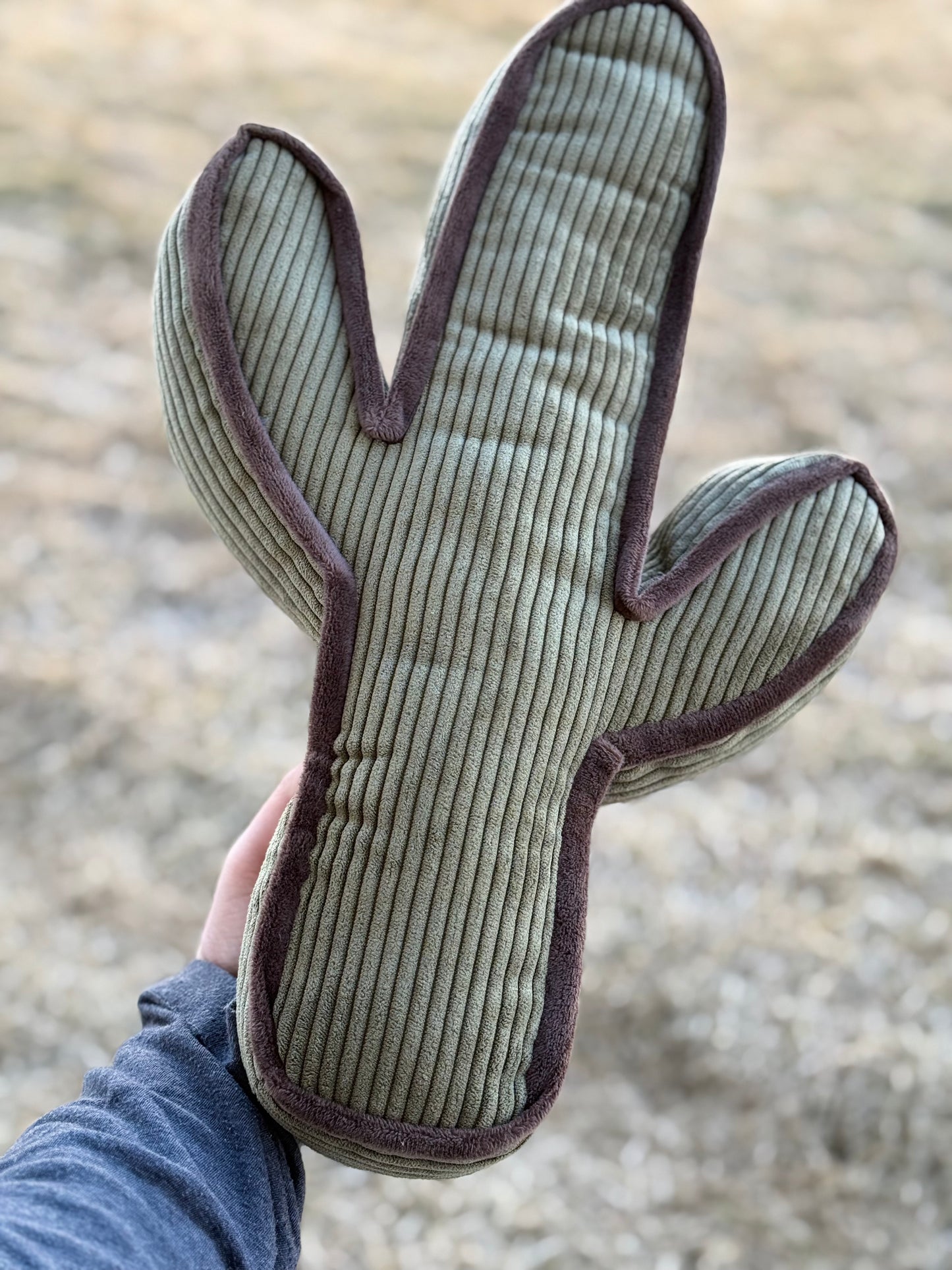 Agave Cactus Pillow